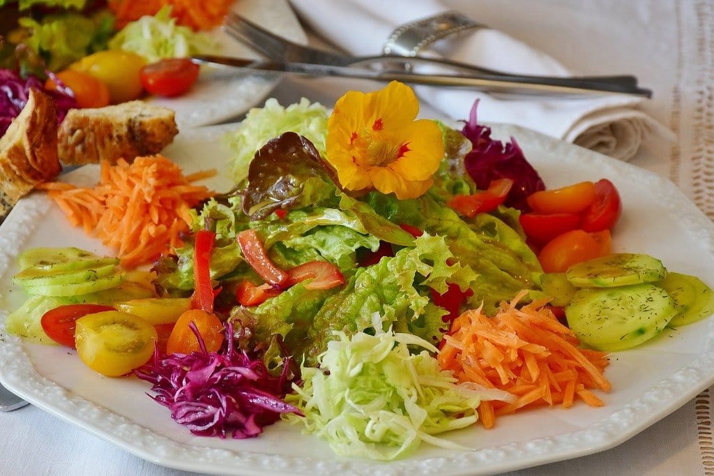 Nutrition équilibrée et conseils essentiels à suivre